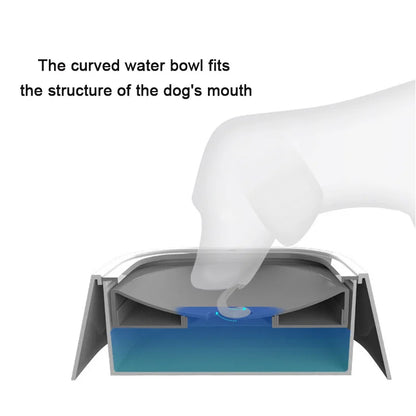 SplashNoMore Pet Hydration Station